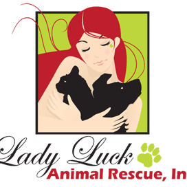 lady luck